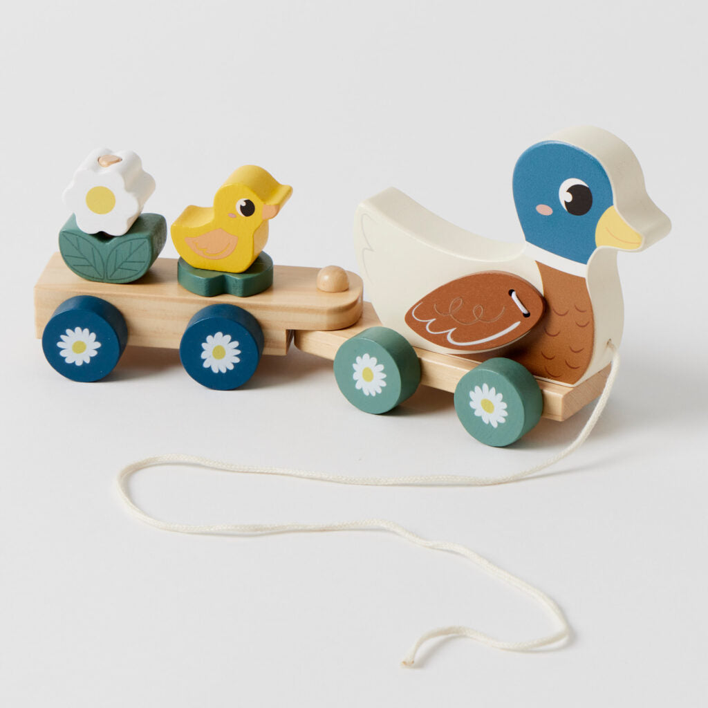 Pilbeam Duck Train Set