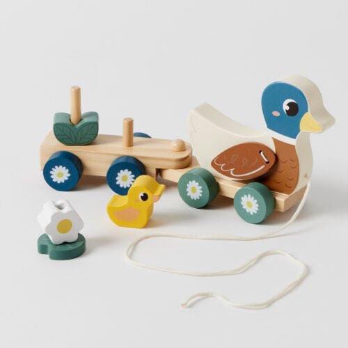 Pilbeam Duck Train Set