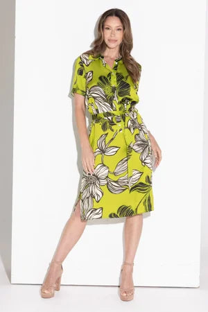 Kamare Zest Dress