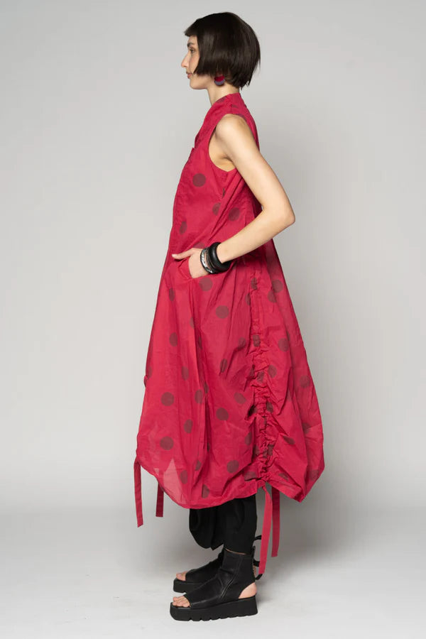 Dogstar Dotto Dress